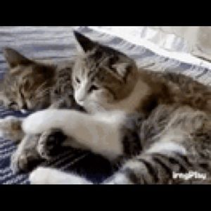 Meet your Posher, Moriah